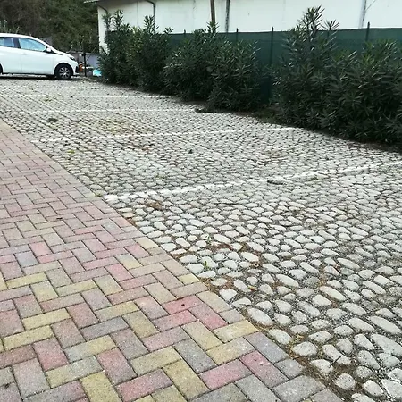 Della Rosa *